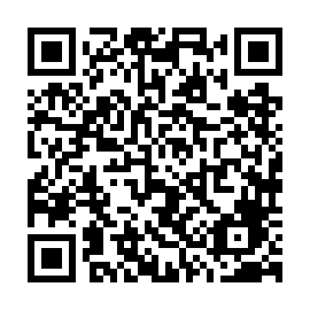 QR code for W387DF