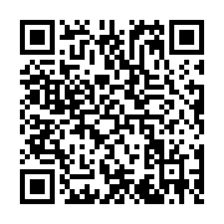 QR code for W387N
