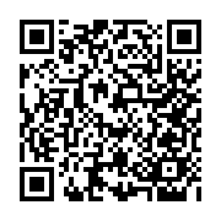 QR code for W390E