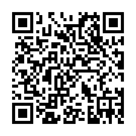QR code for W391LU