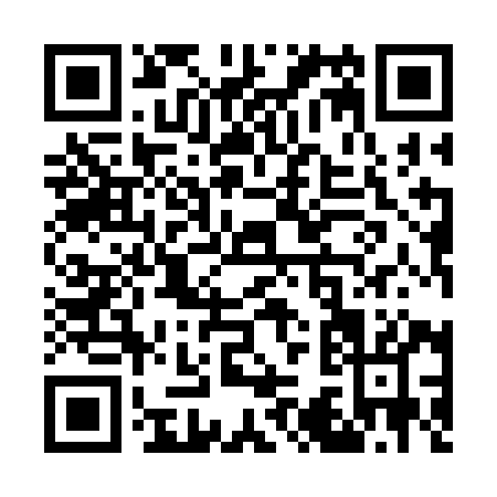 QR code for W393I