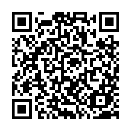 QR code for W393ML