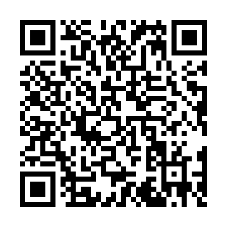 QR code for W395V