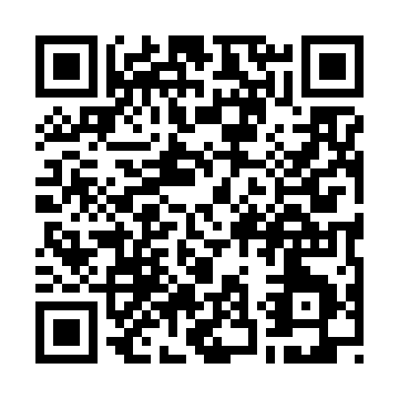 QR code for W396A