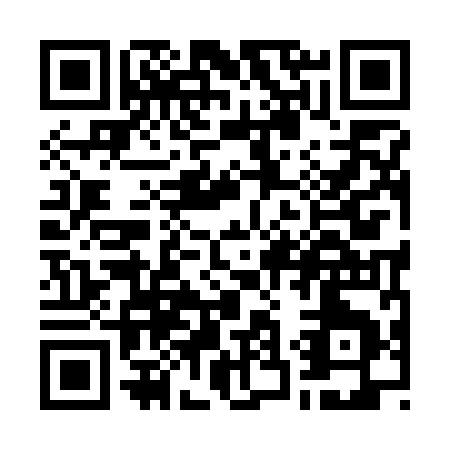 QR code for W397I