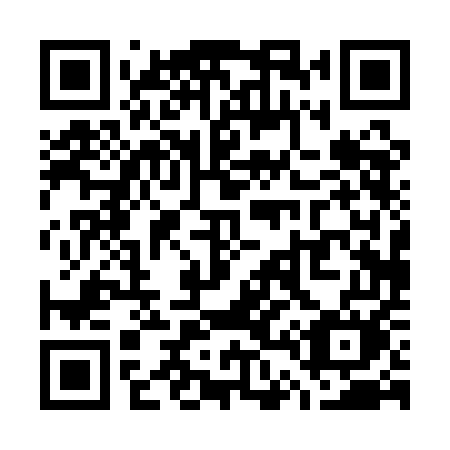 QR code for plate W40 1EM