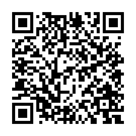 QR code for W401P