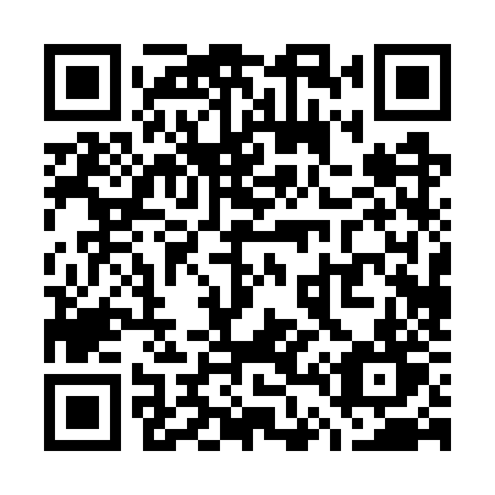 QR code for W407ZT