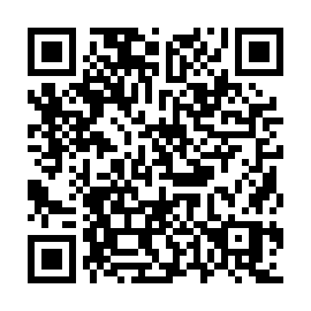 QR code for plate W41 0GP