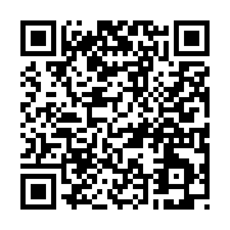 QR code for W411K