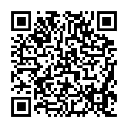 QR code for W413G