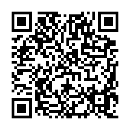 QR code for W413I