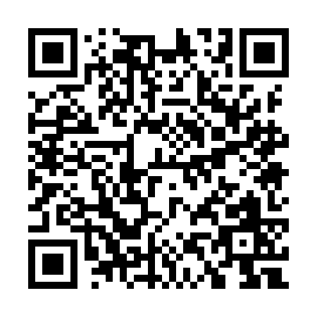 QR code for W419K