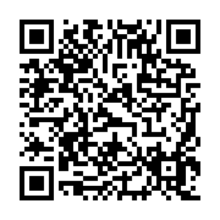 QR code for W419T