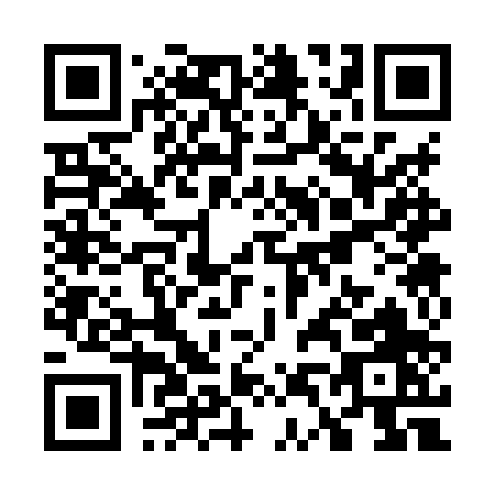 QR code for W438P