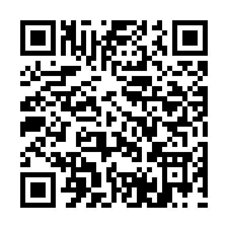 QR code for W447G