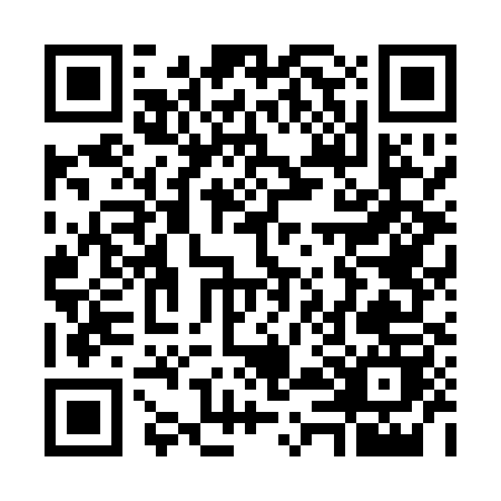 QR code for W461X
