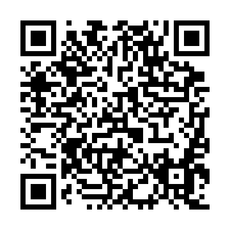 QR code for W463E