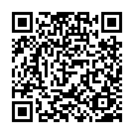 QR code for W463KR