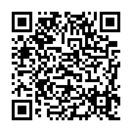 QR code for W487X