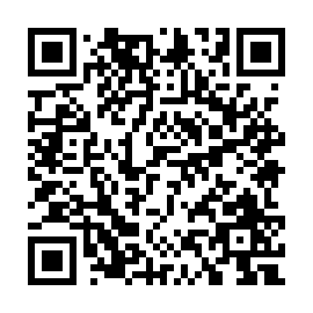 QR code for W491Z