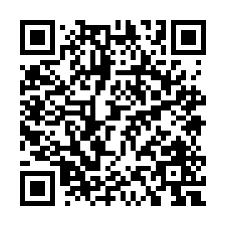 QR code for W493E
