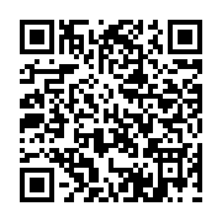 QR code for W498S