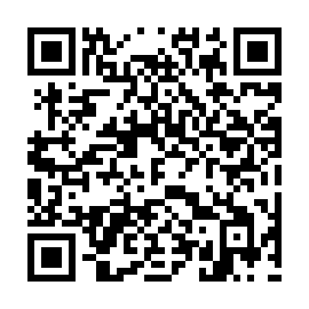 QR code for W508PI