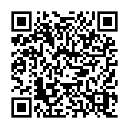QR code for W509AX
