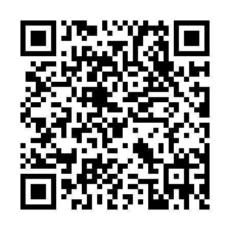 QR code for W509HX