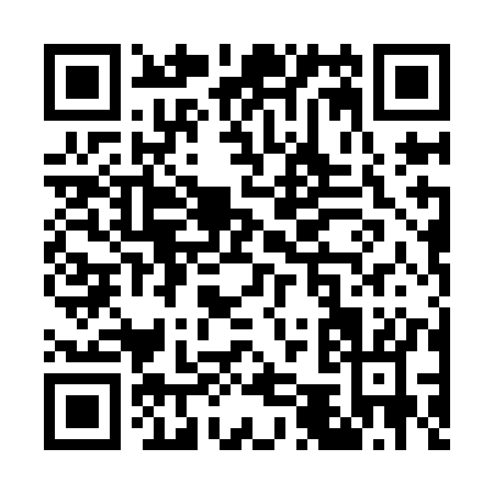 QR code for W509K