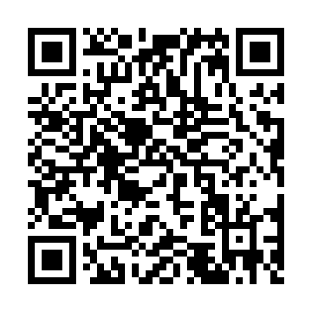 QR code for W510T