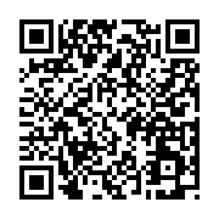 QR code for W529T