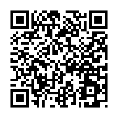 QR code for W541N