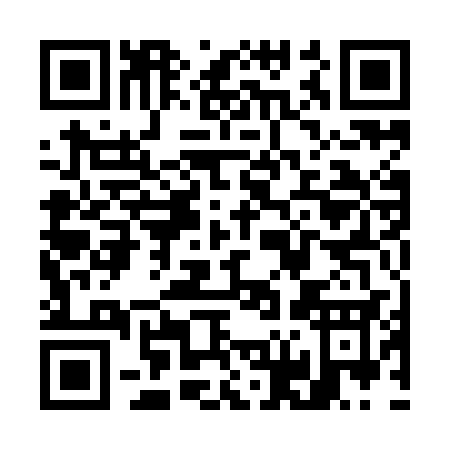 QR code for W619C