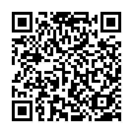QR code for plate W66 9QI