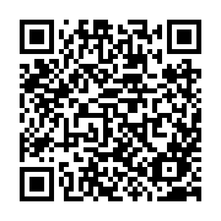 QR code for plate W81 2XN