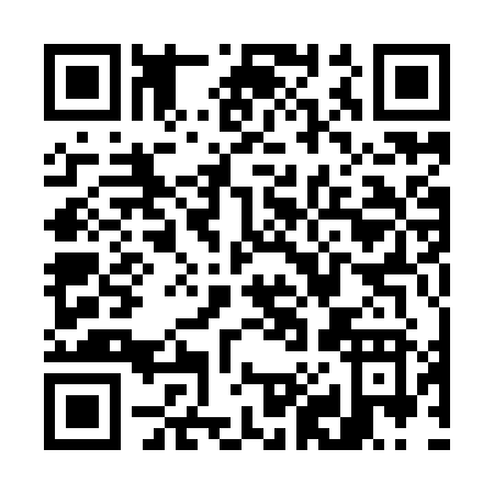 QR code for W819Z
