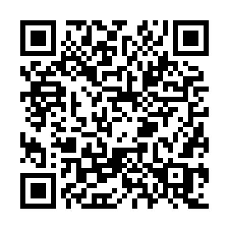 QR code for plate W86 8GB