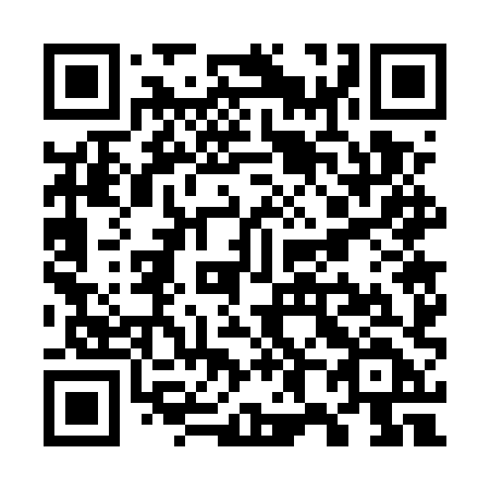 QR code for plate W87 5XD
