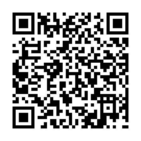 QR code for W913L