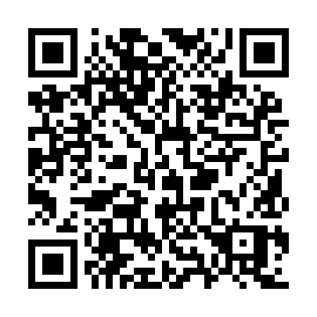 QR code for W919IP