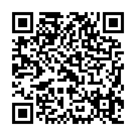 QR code for W919S