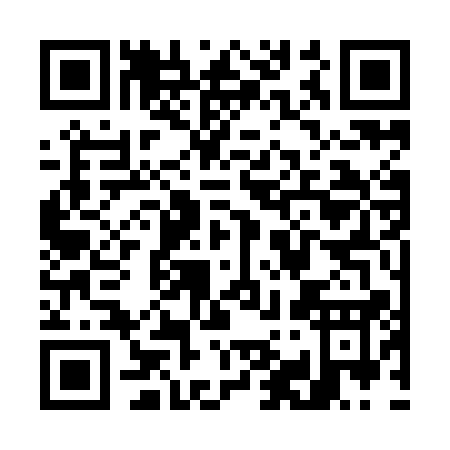 QR code for W939A