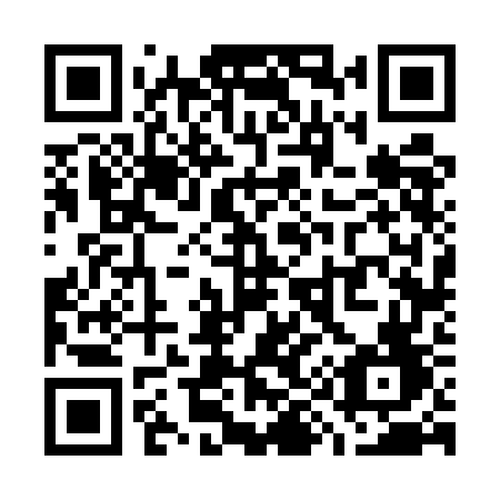 QR code for plate W96 5GF