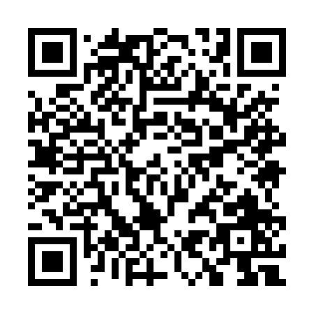 QR code for W994P
