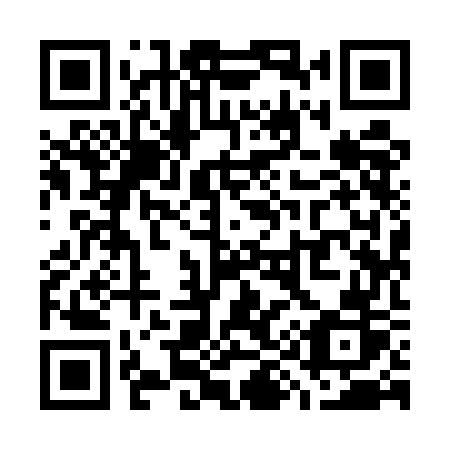QR code for plate W99 5GR