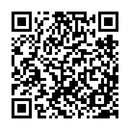 QR code for X006DL