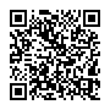 QR code for X009MS