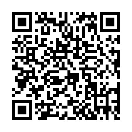 QR code for X010E